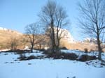 PedalataViel2010_03