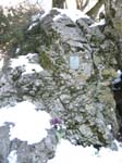 PedalataViel2010_23
