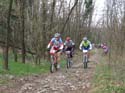 Lurago_29