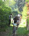 Cantu_17