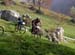 Staffetta 2005 002