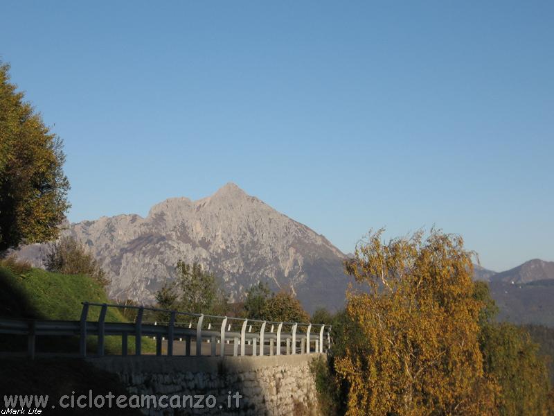 Carica_101_001
