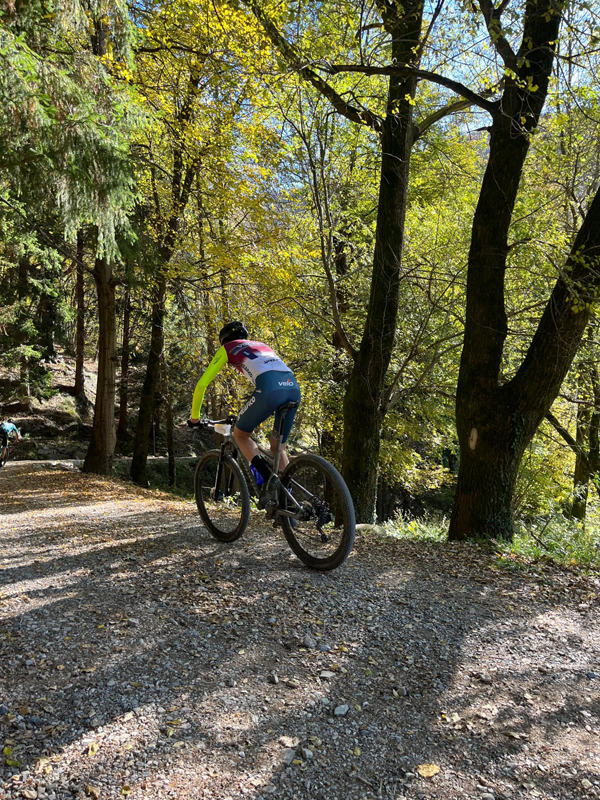 MTB_IMG-20251026-WA0004