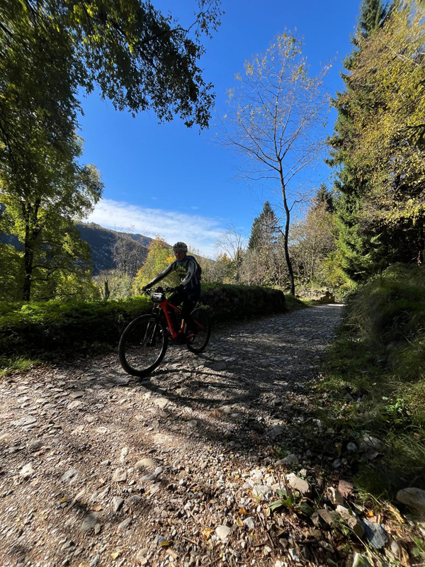 MTB_IMG-20251026-WA0014