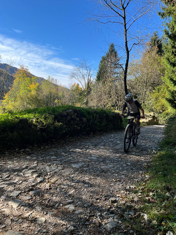 MTB_IMG-20251026-WA0022