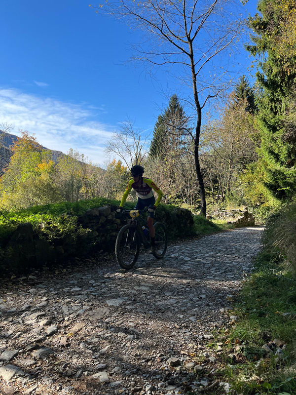 MTB_IMG-20251026-WA0025