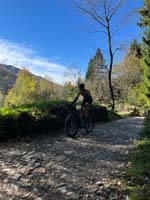 MTB_IMG-20251026-WA0001