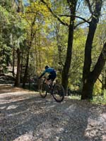 MTB_IMG-20251026-WA0005