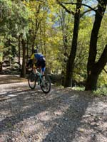 MTB_IMG-20251026-WA0006