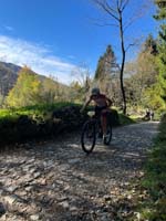 MTB_IMG-20251026-WA0008