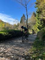 MTB_IMG-20251026-WA0009