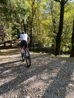 MTB_IMG-20251026-WA0028