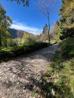 MTB_Immagine WhatsApp 2025-10-26 ore 19.07.29_5bb75139